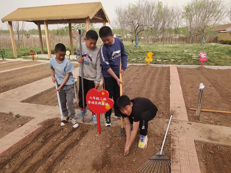 莒县东莞镇中心小学:劳动教育助"双减" 基地实践促成长