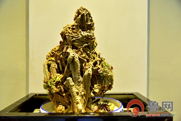 "上水石"特色小镇悄然崛起 售出盆景年销售额达6000余万元 - 全景山东