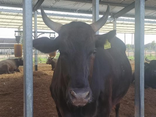 微信图片_20230616112702