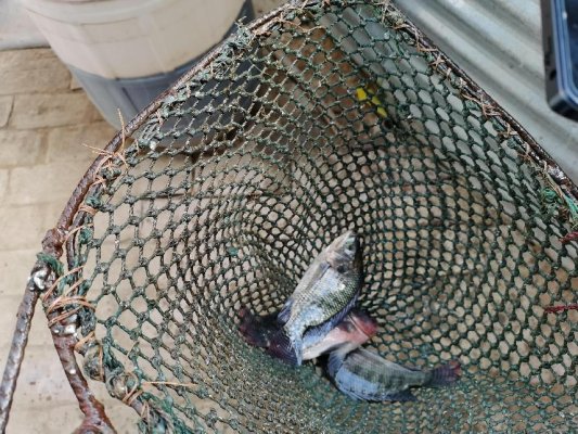 微信图片_20230616112714