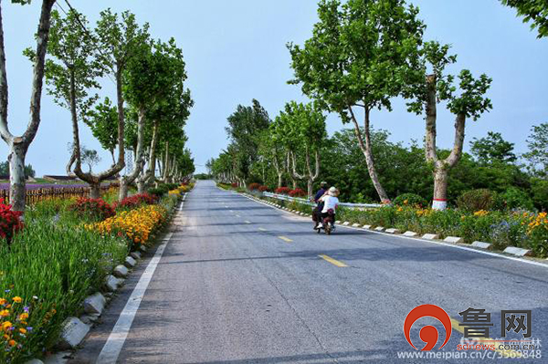 从"乡间土路"到"康庄大道" 青岛即墨区龙泉街道农村公路提质升级
