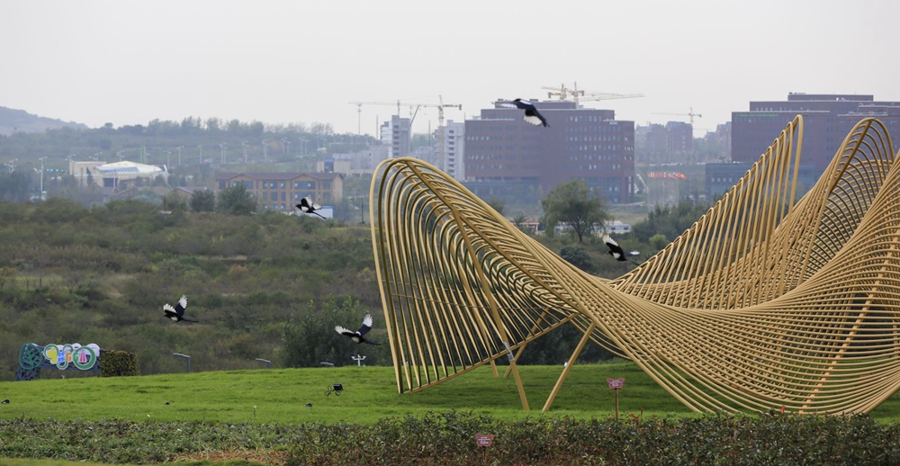 绿动齐鲁 碳路未来 | 【青岛】中德生态园:"引绿"国际,构建与双碳同行