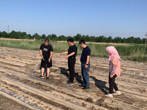 无棣县车王镇:激发代表活力,彰显责任担当 服务基层治理在行动