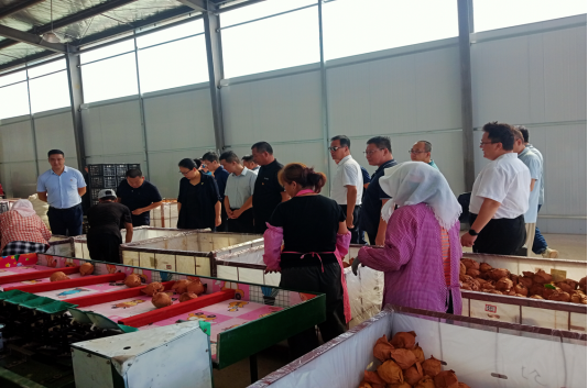 莱西市夏格庄镇夏好三手棋走好共富路