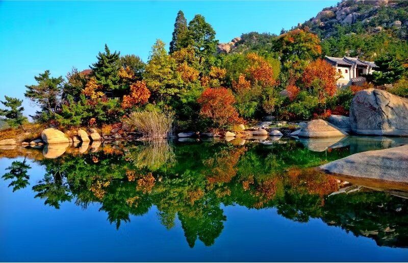 青岛市崂山区王哥庄街道沃野千里铺展和美乡村新画卷