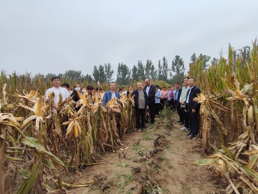 0135bba6bd038e0f931422e15dc698f