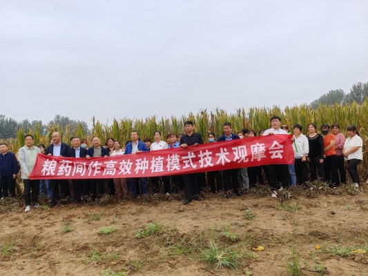 47b3468358d1fc164b6f4ec4fea85cb