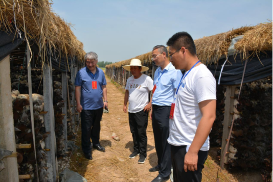 济宁市鱼台县张黄镇组织辖区部分县,镇人大代表参观特色农业,助力乡村