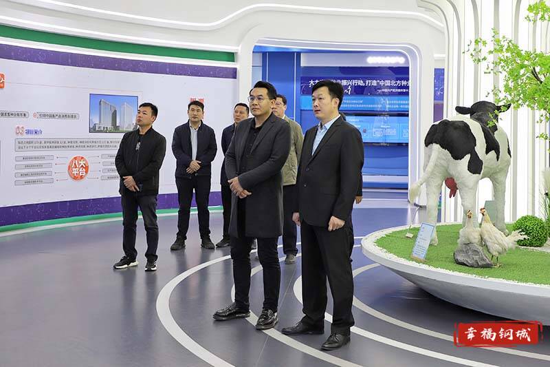 万洋集团青岛公司到钢城区考察洽谈