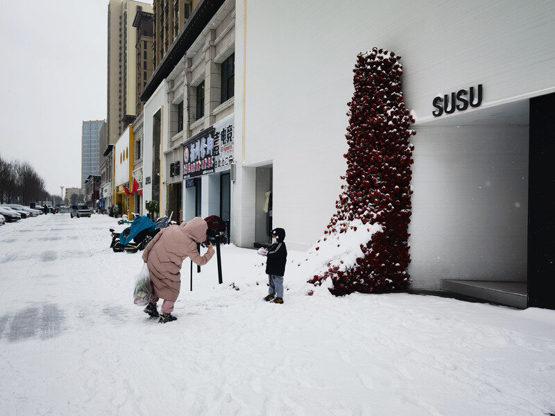 菏泽迎来今冬首场降雪,一组图带你看雪景