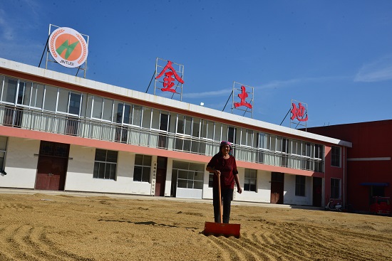 郯城县杨集镇:"田保姆"让农民种地更轻松 - 鲁网 · 临沂 - 山东新闻