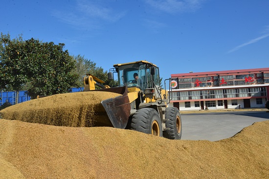 郯城县杨集镇:"田保姆"让农民种地更轻松 - 鲁网 · 临沂 - 山东新闻