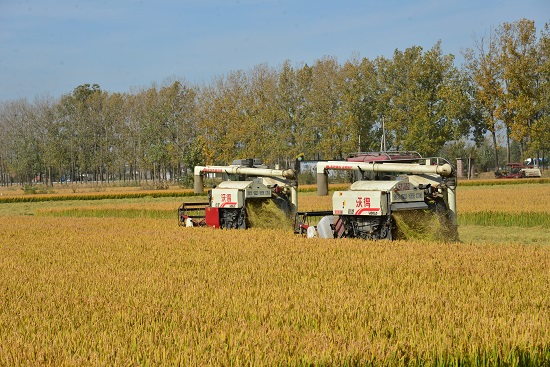 郯城县杨集镇:"田保姆"让农民种地更轻松 - 鲁网 · 临沂 - 山东新闻