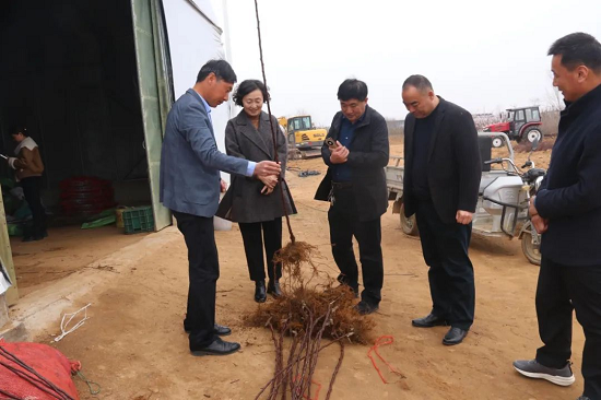 莒南县石莲子镇召开"莒识共商·同心共建"品牌提升年推进会议