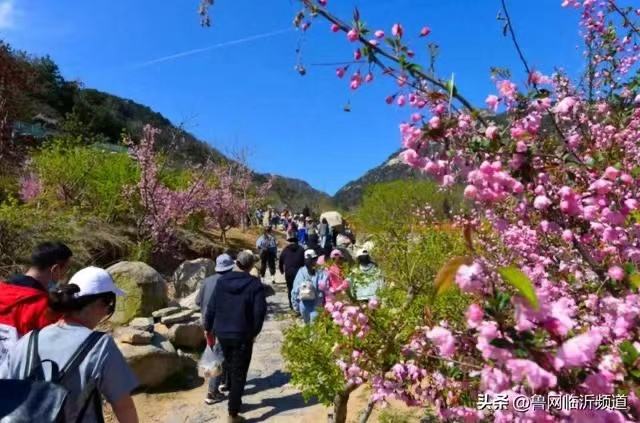 清明假期临沂文旅市场点燃消费新引擎