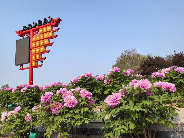 领跑全国商圈，菏泽人气为啥这样旺？