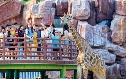 fc5c916f461a7985cb498e8c235d01dd