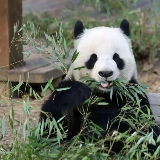 e6aaf59350bfb478d3b7033c81fd1961