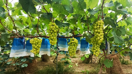 微信图片_20240903162212