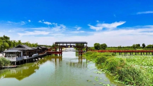 d2244b96b42d9b5d1376a774133236b7