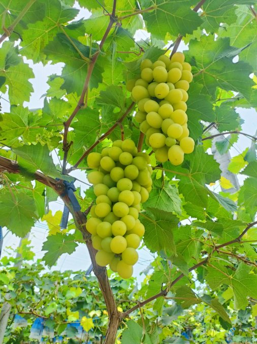 微信图片_20240903162156