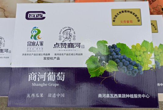 微信图片_20240903162200