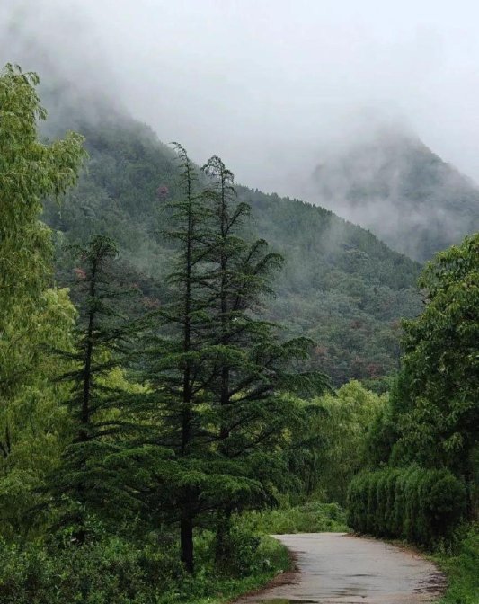 be0ddaef0a3d472f3e26f30cb9a5fb85