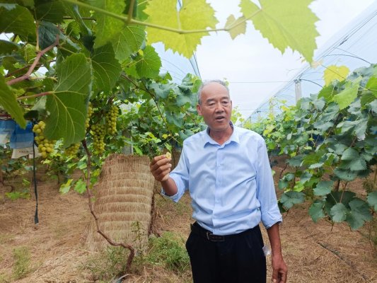 微信图片_20240903162151