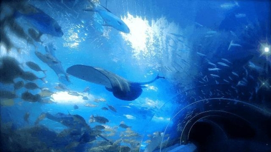 1d82d1ef43bf16336e87680a56b79ab5