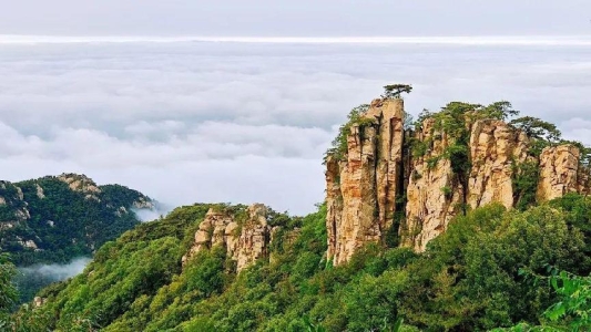 73e803a52dc5e0b46ef5224aa00f5bcb