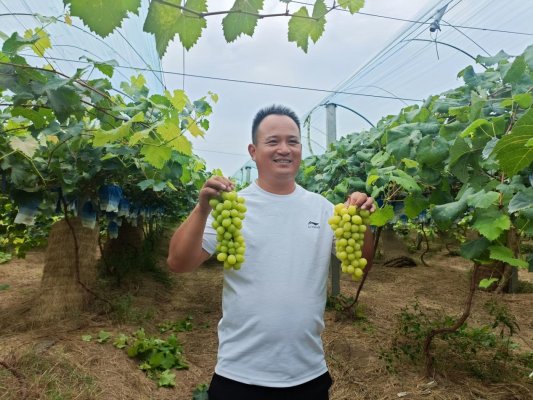 微信图片_20240903162206