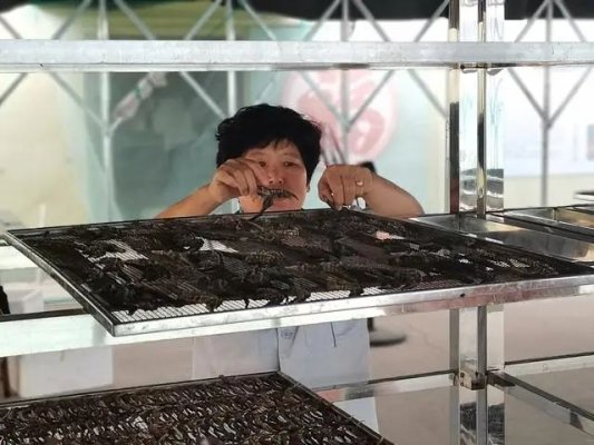 f0ae06791eaffe248606d443a4829264