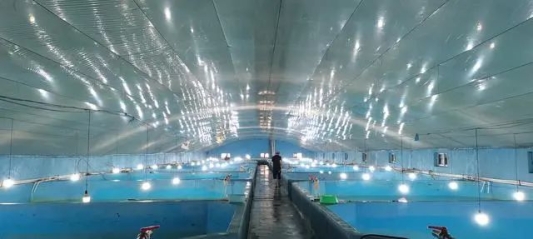 63db0fce1aec57ba9c9a64ee3e065fc3