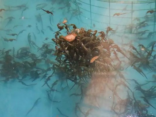 048fcd5c3c1b806d397fa0059afec3d7