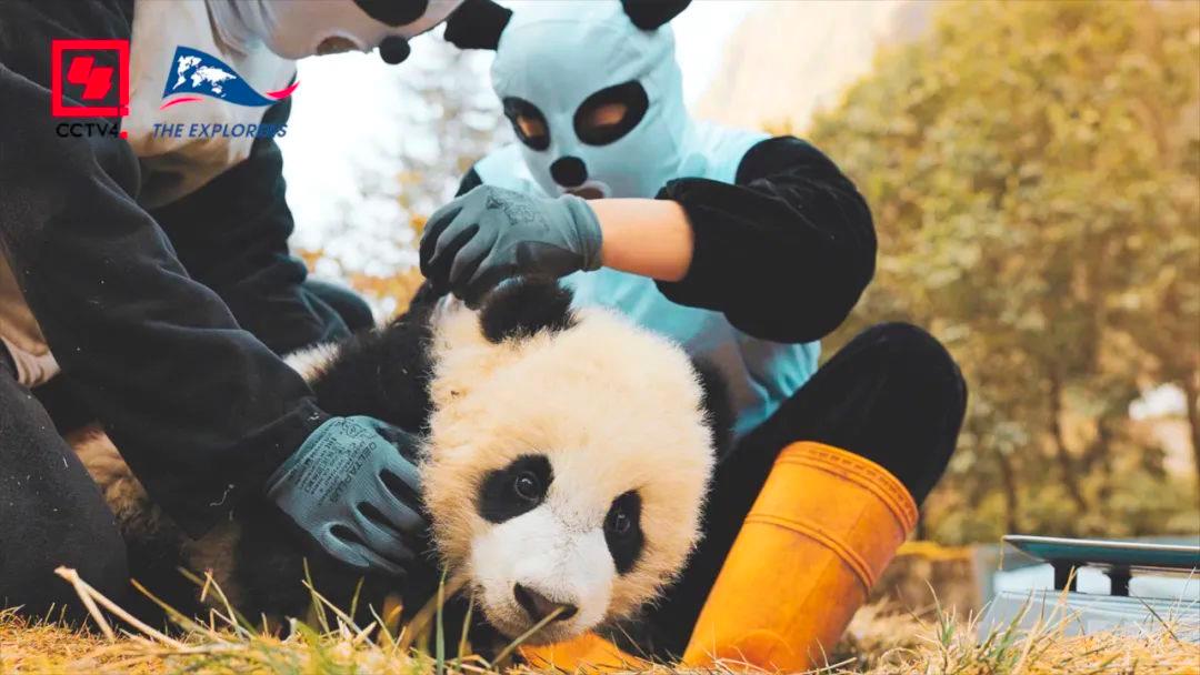 震撼首播！中法合拍纪录片用8K超高清影像呈现最神奇的中国