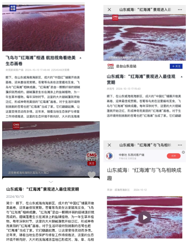 “红海滩”上央视新闻啦，来威海南海看“红海滩”！