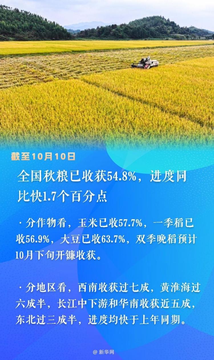 秋粮收获已过半 看各地良种良法保丰收