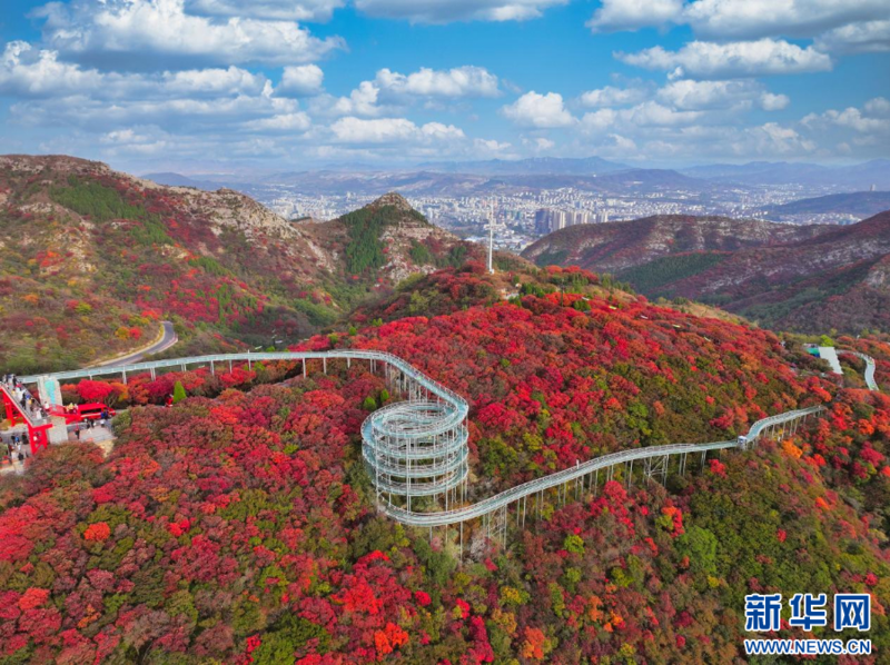 淄博：“红叶+”带来赏景“体验+”