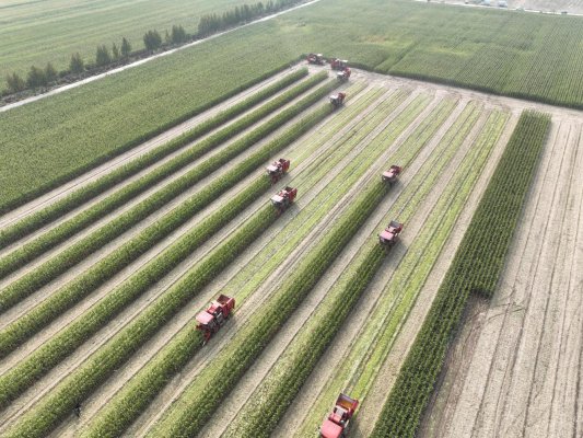 微信图片_20241031113318