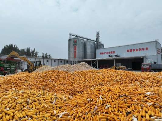 微信图片_20241031113323