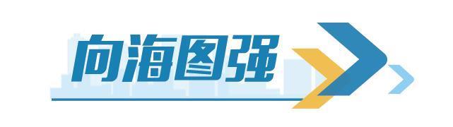 全国首个“零碳港口” 、全自动化集装箱码头……山东新质生产力“入海”