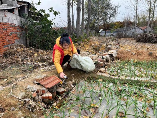 济南市莱芜区寨里镇北庵村：开展环保行动 美化家园树新颜