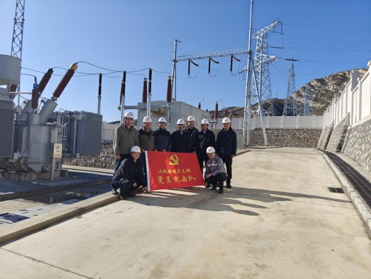 党建引领 扬帆起航 唱响“风光碳路 绿能先锋”品牌