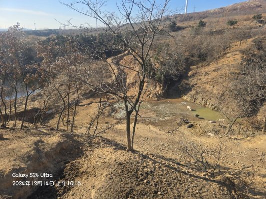 鲁山深处养山猪 “跑”出美味致富路