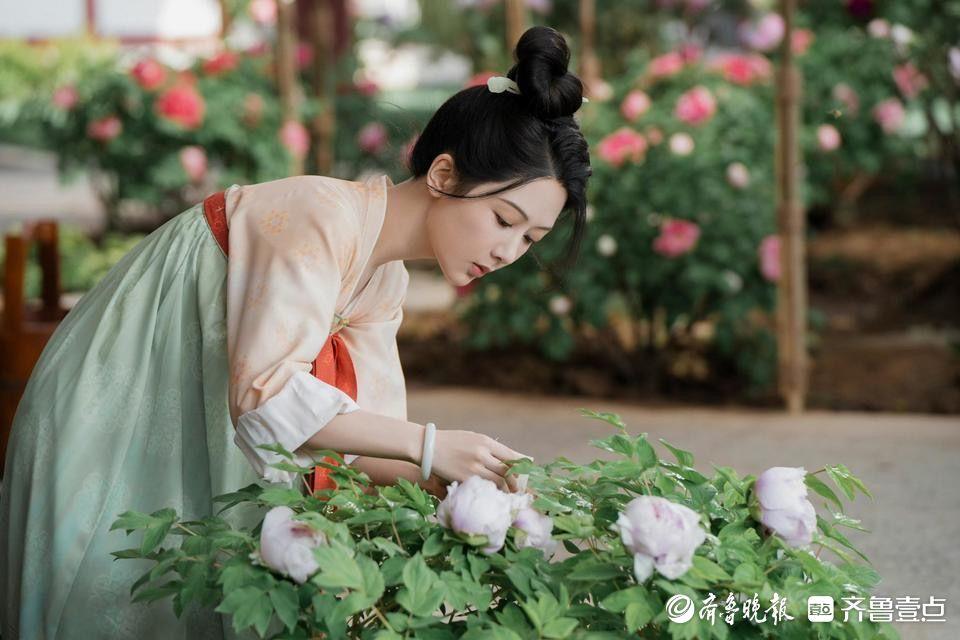 深壹点｜菏泽催花牡丹：绽放在年宵花舞台的新希望