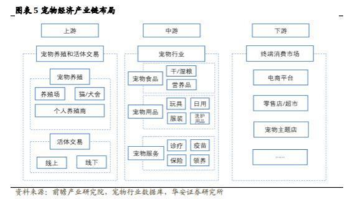 成都汇阳投资关于宠物经济崛起消费升火星电竞app级驱动增长(图5)