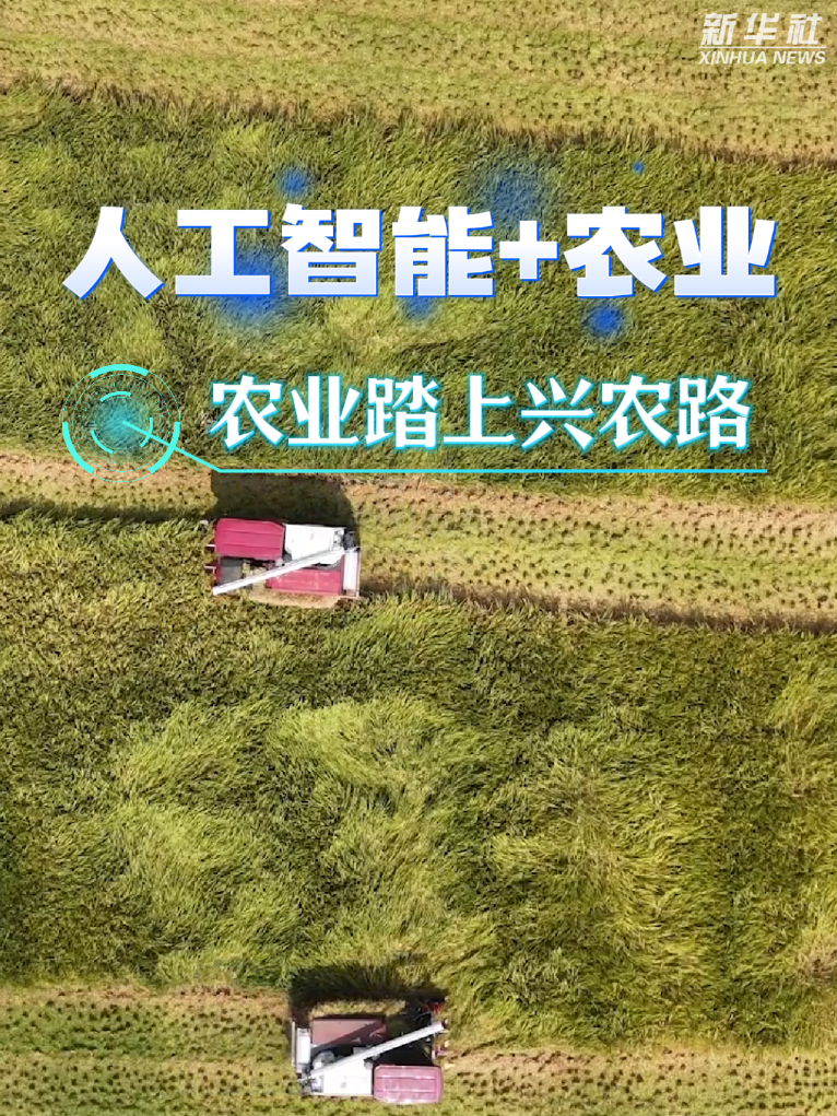 智领潮头兴未来