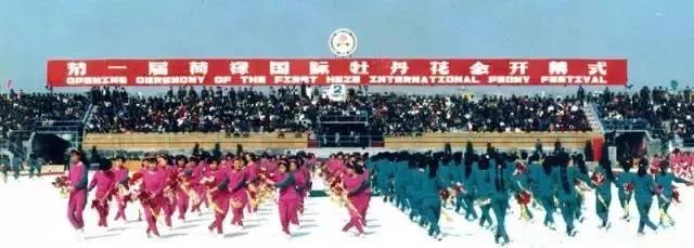 从“花会”到“盛会”，菏泽牡丹节会的33年进阶之路