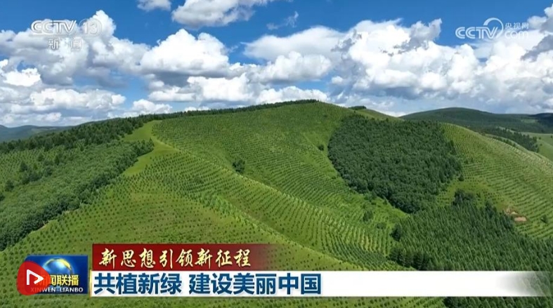 共植新绿 建设美丽中国