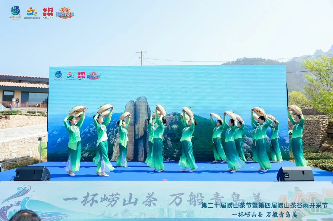 品崂山茶赏崂山美！第二十届崂山茶节暨第四届崂山茶谷雨开采节活动正式启动